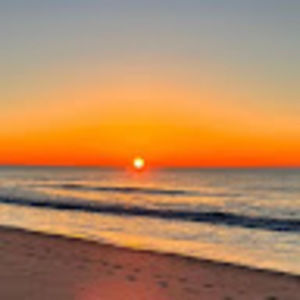 Meet your Posher, Alice